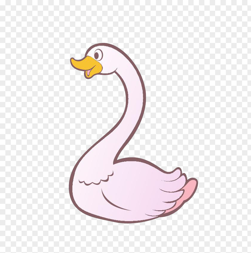 Pink Cartoon Duck Tundra Swan Black Trumpeter Whooper Clip Art PNG