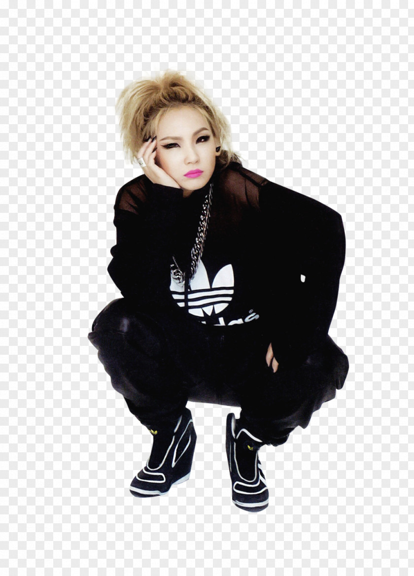 Rita Ora CL South Korea 2NE1 K-pop Hello Bitches PNG