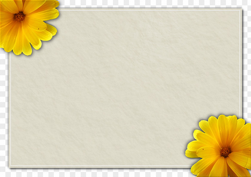Yellow Frame Paper Picture PNG