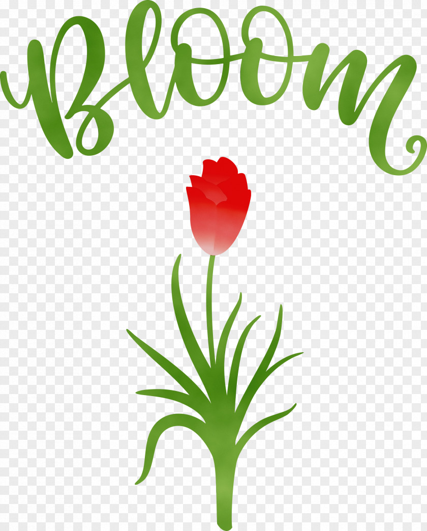 Floral Design PNG