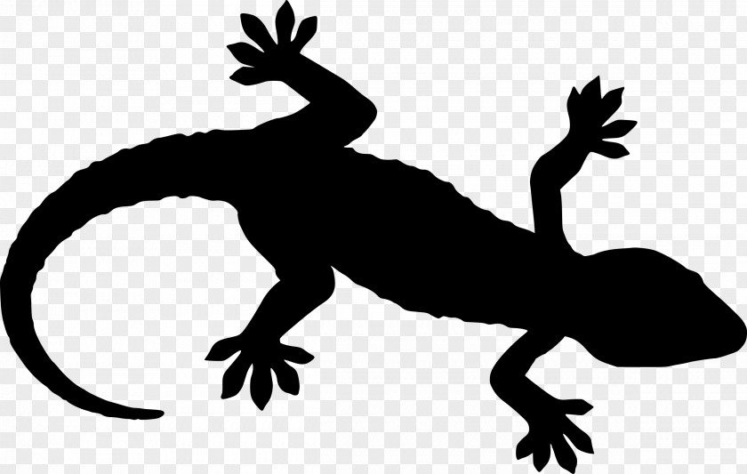 Gecko Clip Art Lizard Reptile Sticker PNG