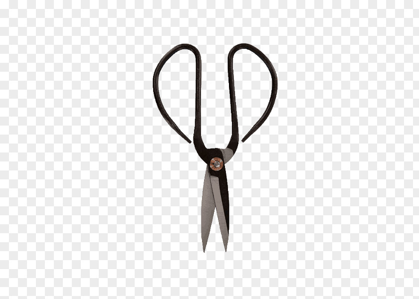 Tree Bonsai Japanese Maple Scissors Art PNG