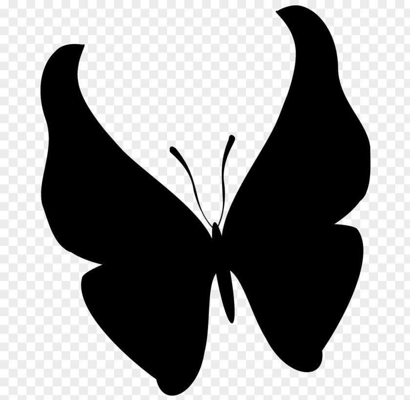 Brush-footed Butterflies Clip Art Black Silhouette Line PNG