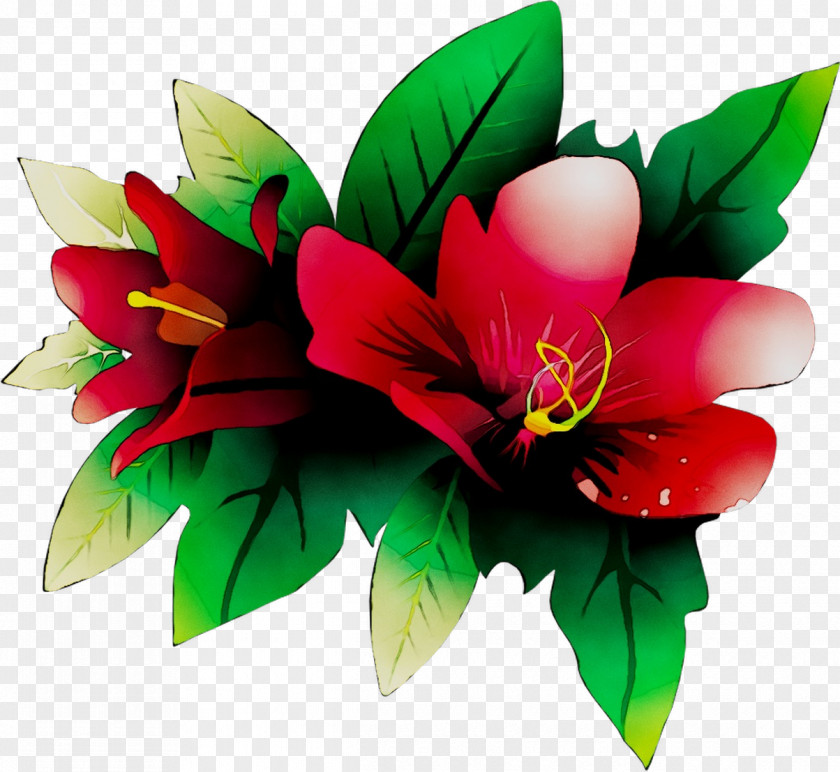 Floral Design Flowering Plant Plants PNG