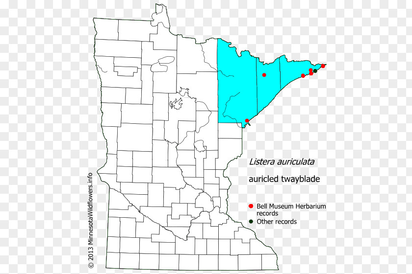 Map Pine County, Minnesota Murray Freeborn Roseau Lake Of The Woods PNG