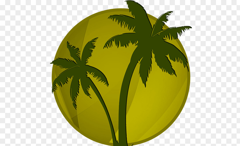 San Clemente IPhone 5c Leaf Hemp California PNG