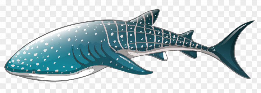 Sharks Whale Shark Clip Art PNG