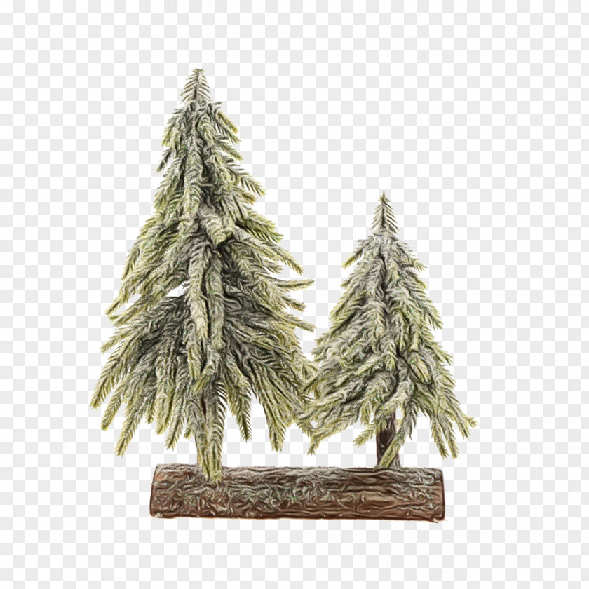 American Larch Sugar Pine Christmas Tree PNG