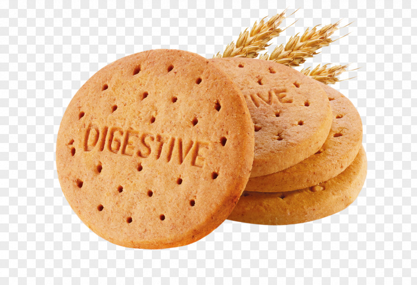 Digestif Cracker Biscuits Marie Biscuit Cookie M Family PNG