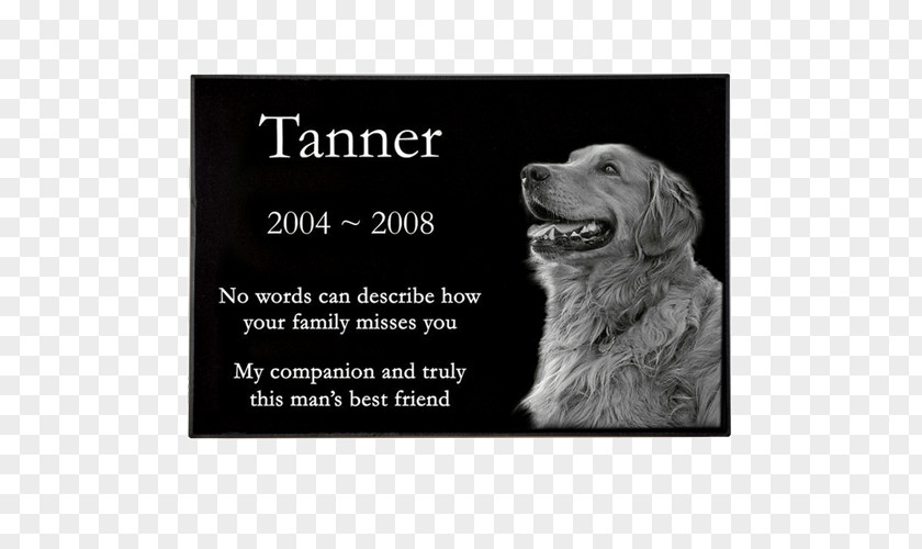 Dog Headstone Memorial Pet Commemorative Plaque PNG