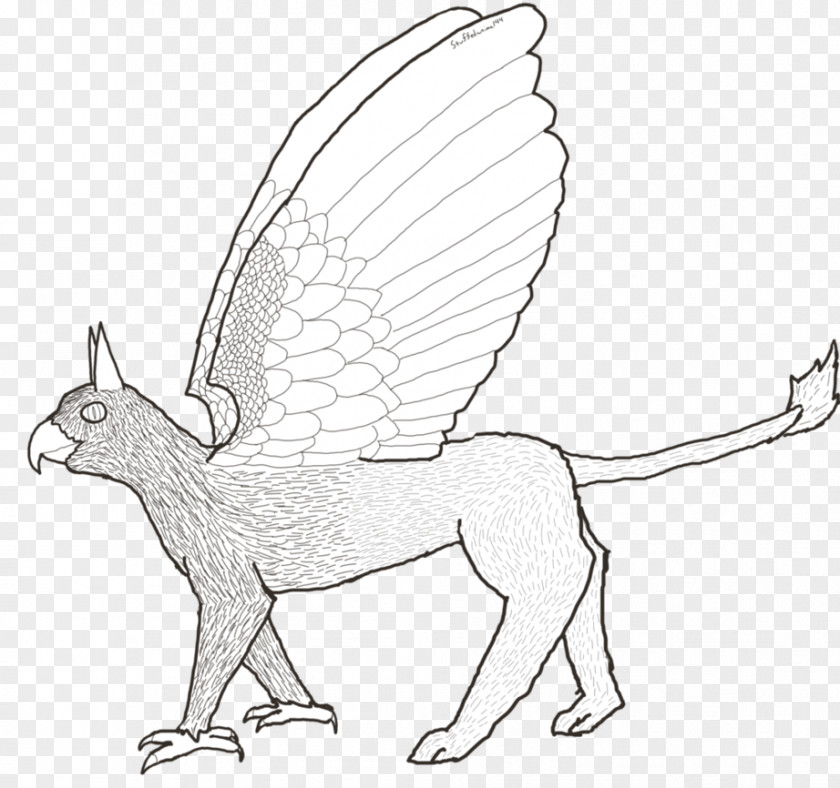 Griffin Hare Cat Mammal Drawing Animal PNG