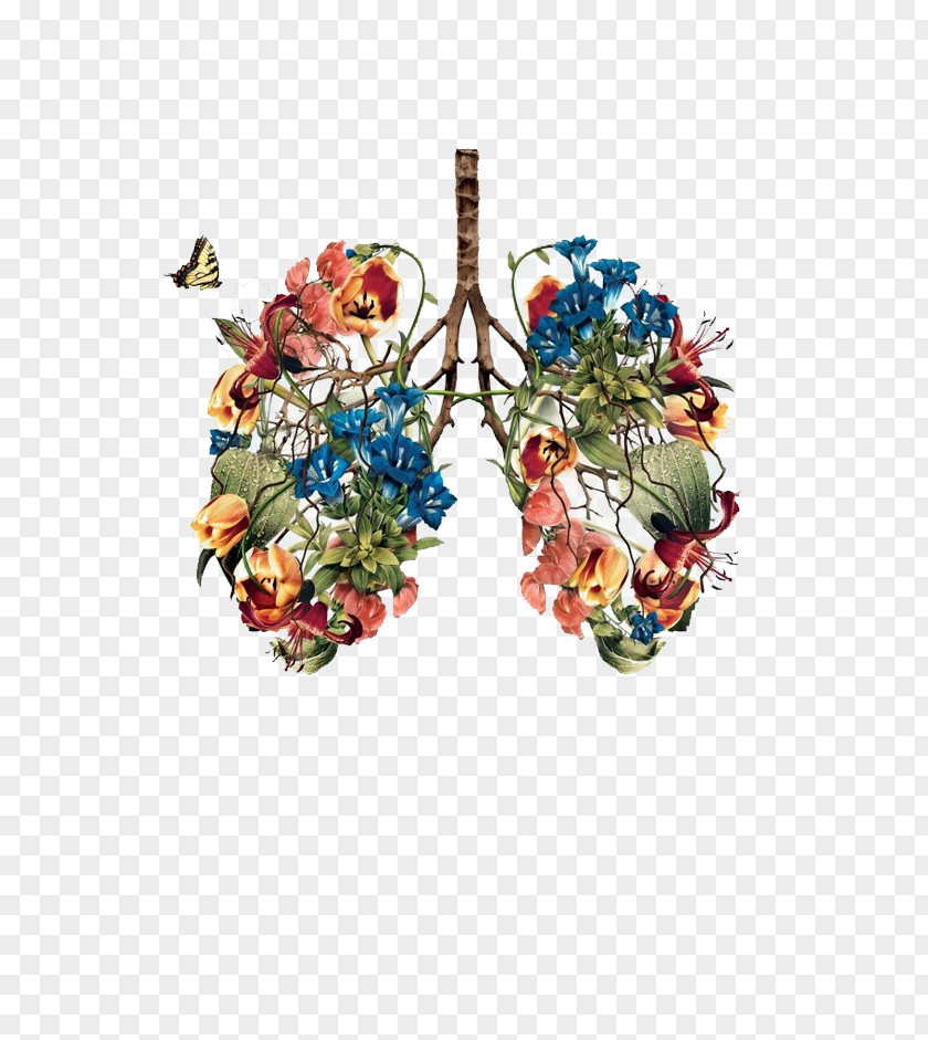 Hand-painted Plants Lungs PNG plants lungs clipart PNG