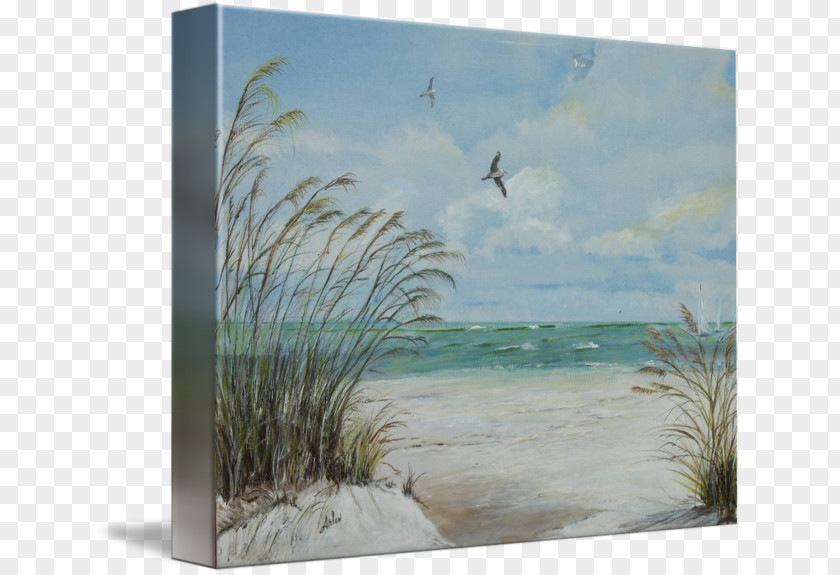 Painting Indian Rocks Beach Picture Frames Gallery Wrap Canvas PNG