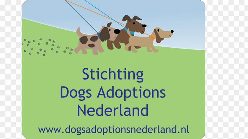 Pet Adoption Dog Walking Advertising Business Cards Company PNG