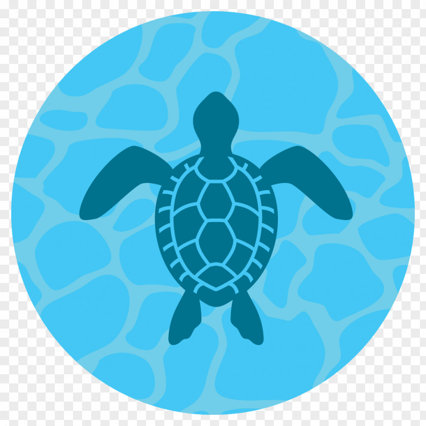 Turtle Green Sea Hawksbill PNG