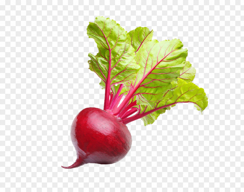 Vegetable Vegetarian Cuisine Beetroot Chard Organic Food PNG