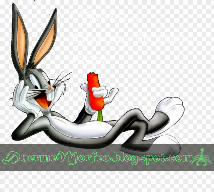 Bugs Bunny Looney Tunes Judge Maxwell Cartoon Image PNG