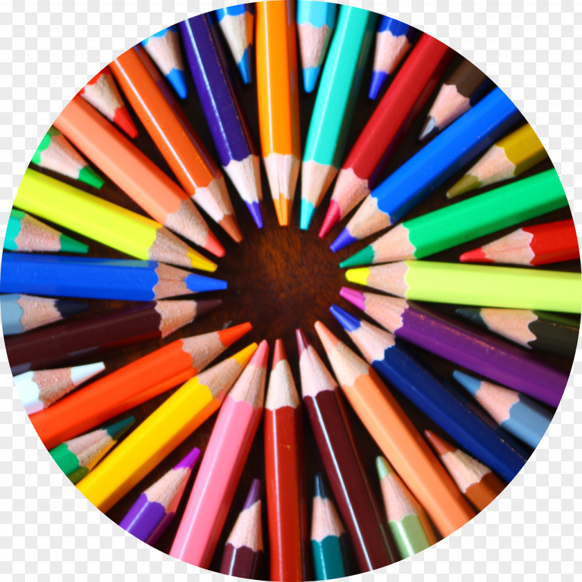 Colored Pencils Pencil Art Contrast PNG