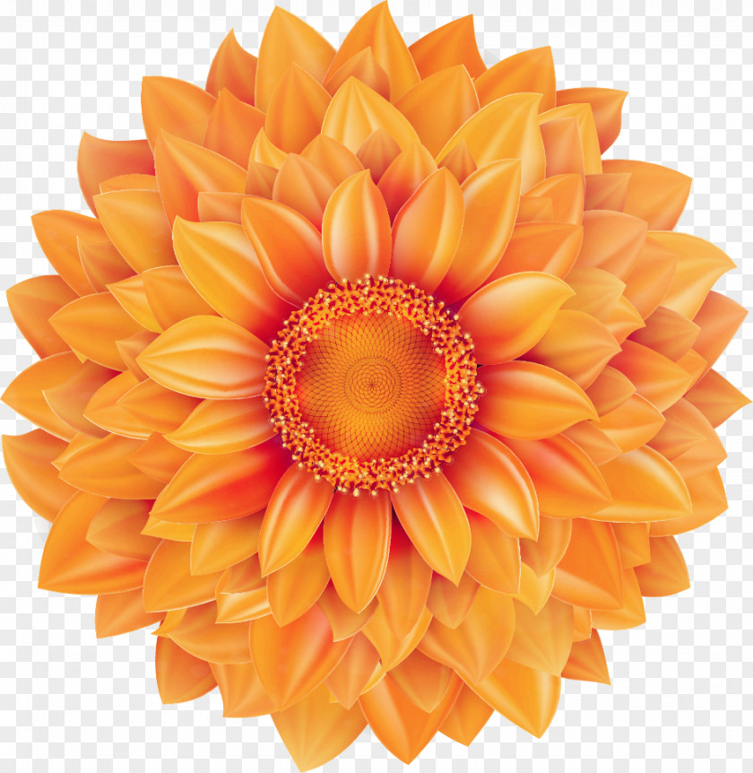 Creative Sunflower Common Mexican Marigold PNG