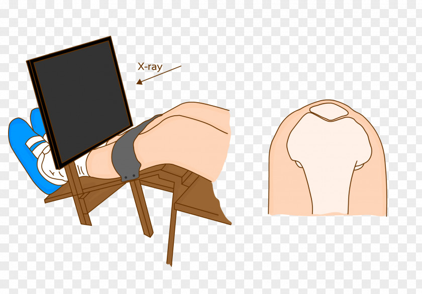 Ear Furniture Table Cartoon PNG