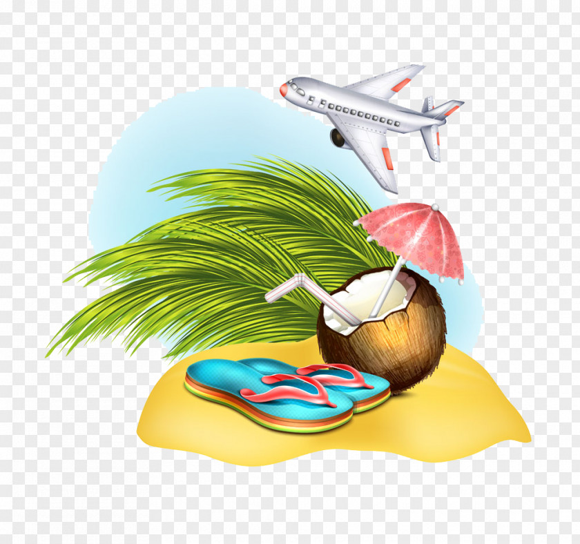 Flops And Coconut Illustration Airplane Under PNG