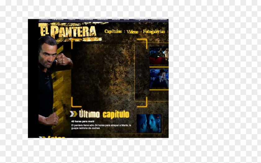 Pantera Poster PNG