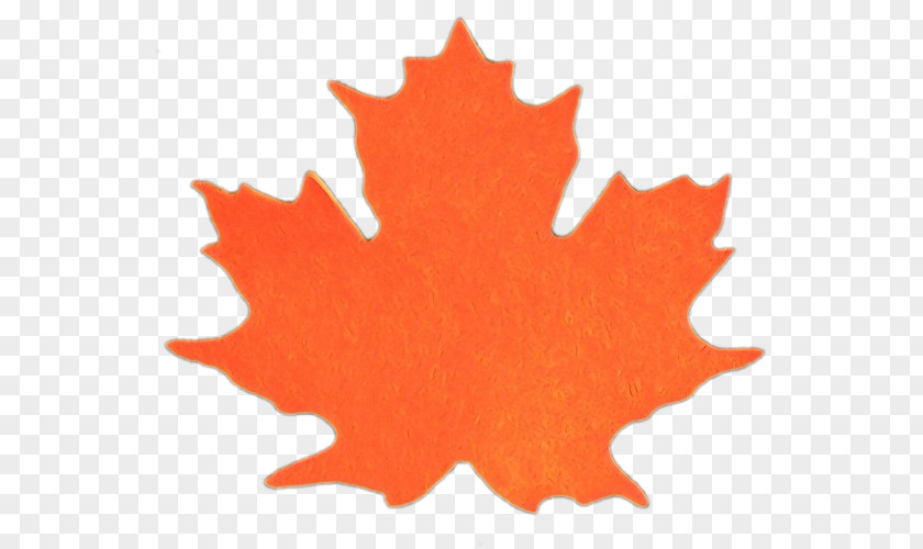 Plant Black Maple Leaf PNG