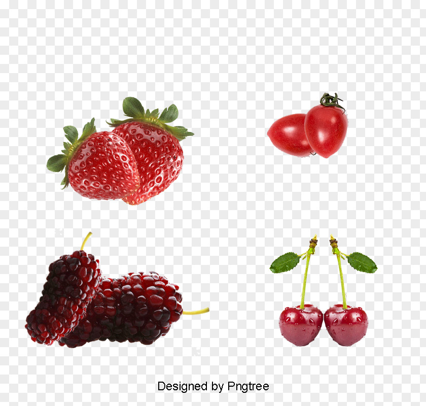 Strawberry Lingonberry Raspberry Cranberry Berries PNG
