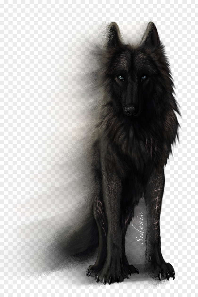 Wolf DeviantArt Drawing Dog YouTube PNG