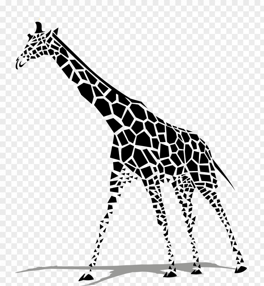 Black Zebra Giraffe Euclidean Vector Clip Art PNG