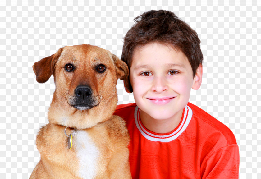 Boy And Dog Labrador Retriever Pet Service Cat Child PNG