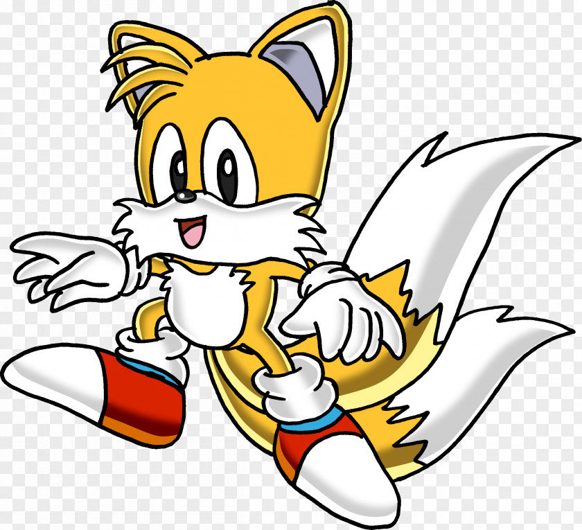 Fox Tails Sonic Chaos Rouge The Bat Knuckles Echidna Shadow Hedgehog PNG