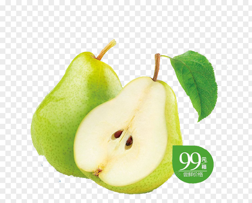 Green Pear Chokeberry Fruit DAnjou PNG