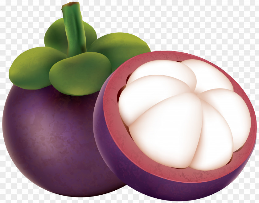 Mangosteen Clip Art Image Purple PNG
