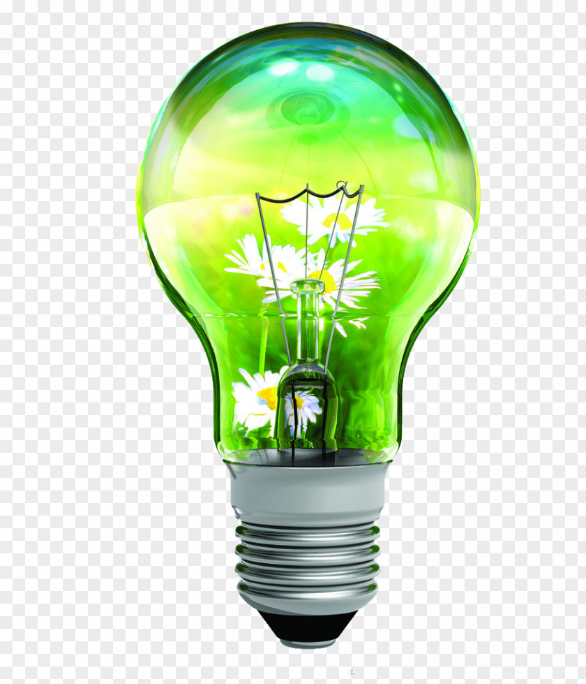 Bulb Greenery Efficient Energy Use Conservation Efficiency Home Rating PNG