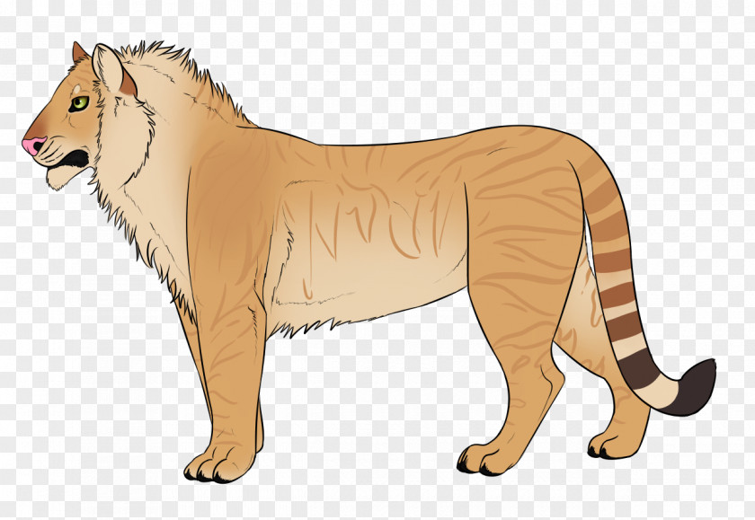Cat Big Dog Canidae Terrestrial Animal PNG