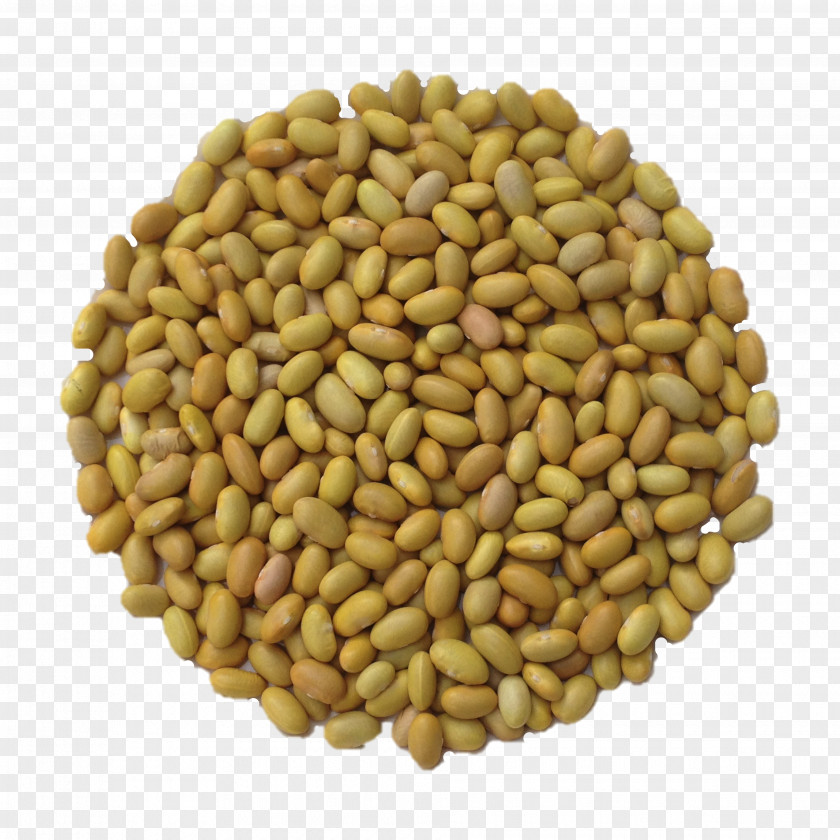 Frijoles Common Bean Cocido Runner Vegetarian Cuisine Seed PNG