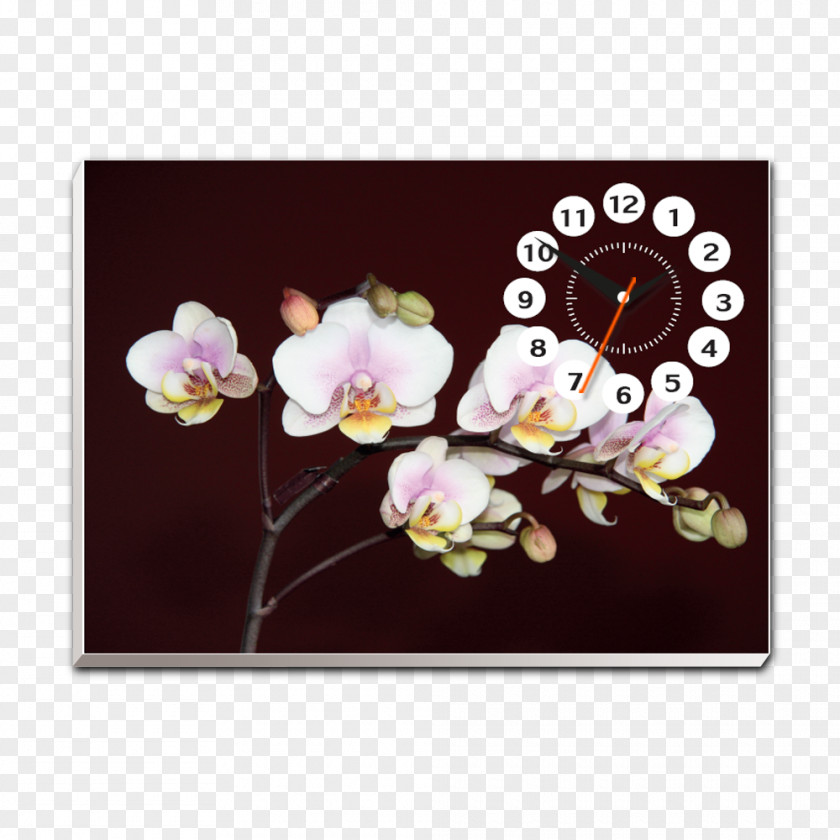 Hoa Lan Cherry Blossom Petal ST.AU.150 MIN.V.UNC.NR AD PNG