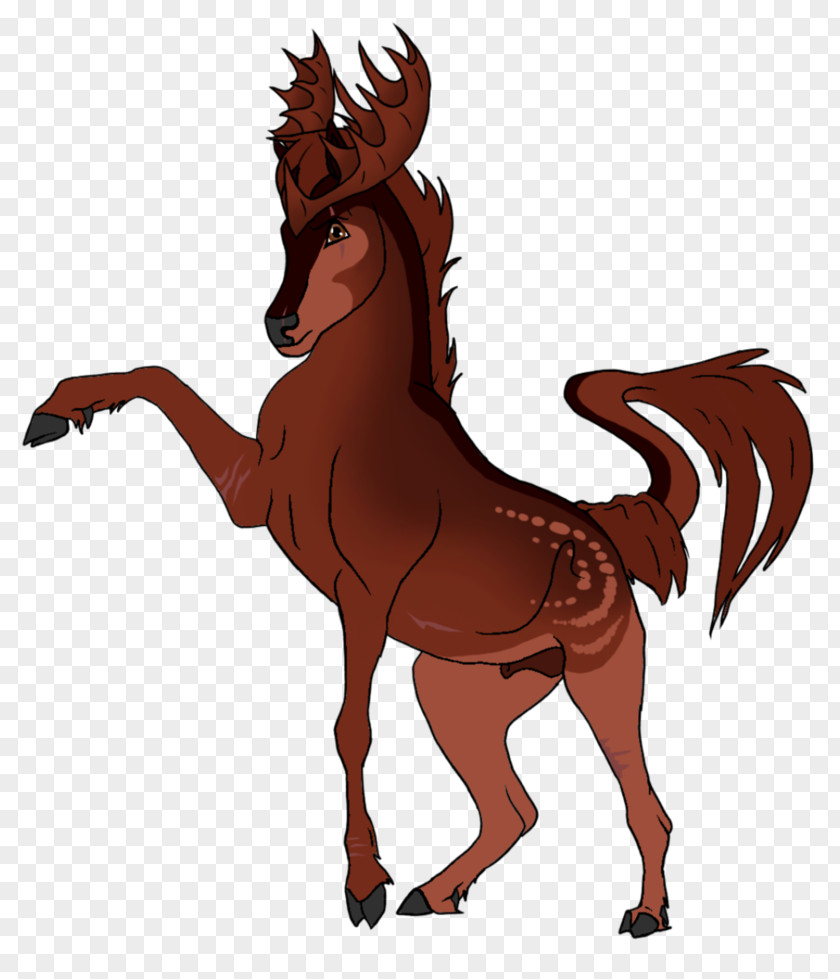 Mustang Mule Pony Foal Stallion PNG