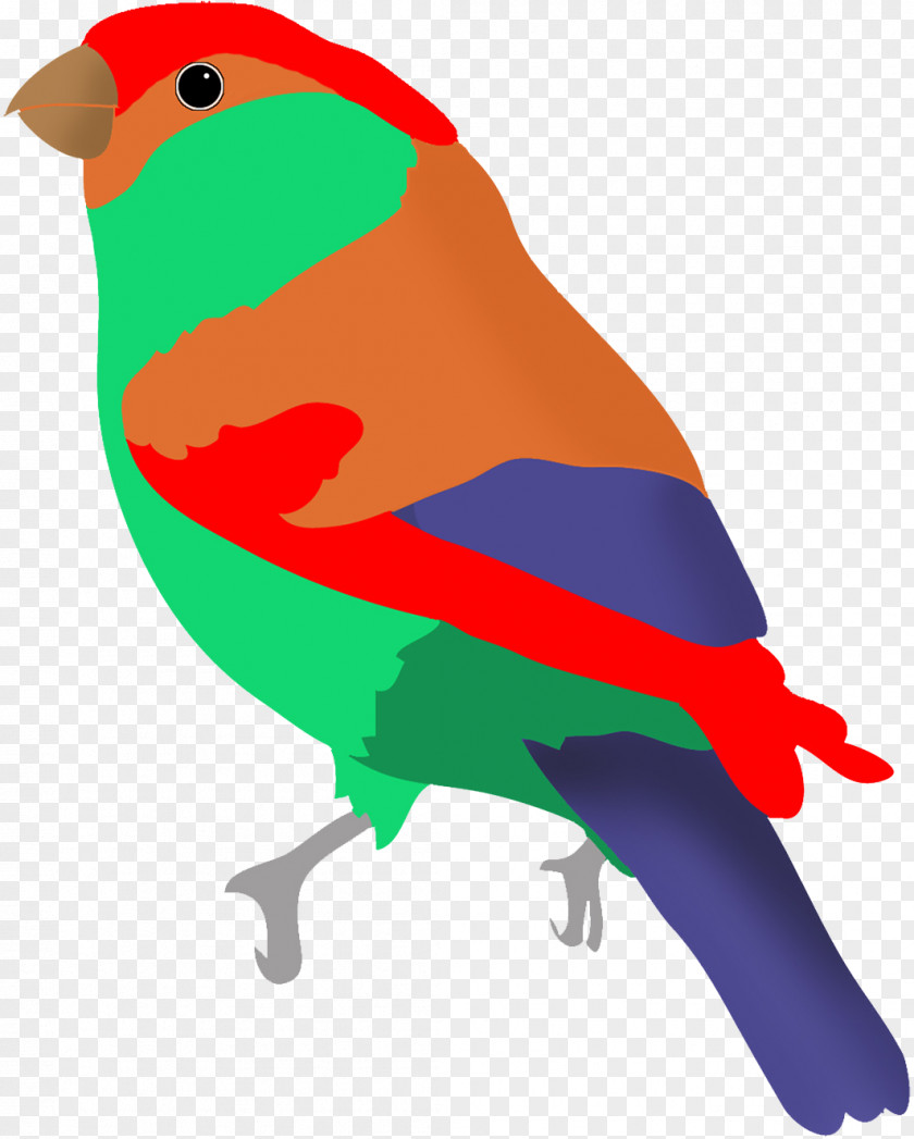 Parrot Lovebird Hummingbird Clip Art PNG