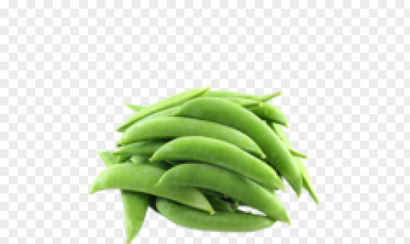 Pea Snap Green Bean Common Vegetable PNG
