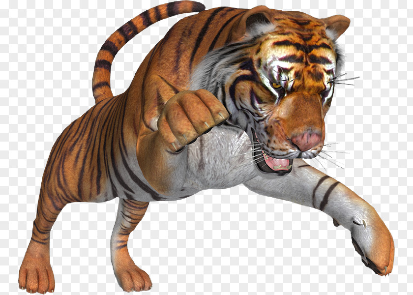 Tiger Lion Cat Clip Art PNG