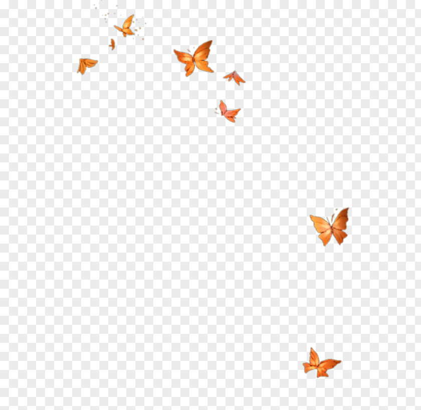Butterfly Light Pixel PNG