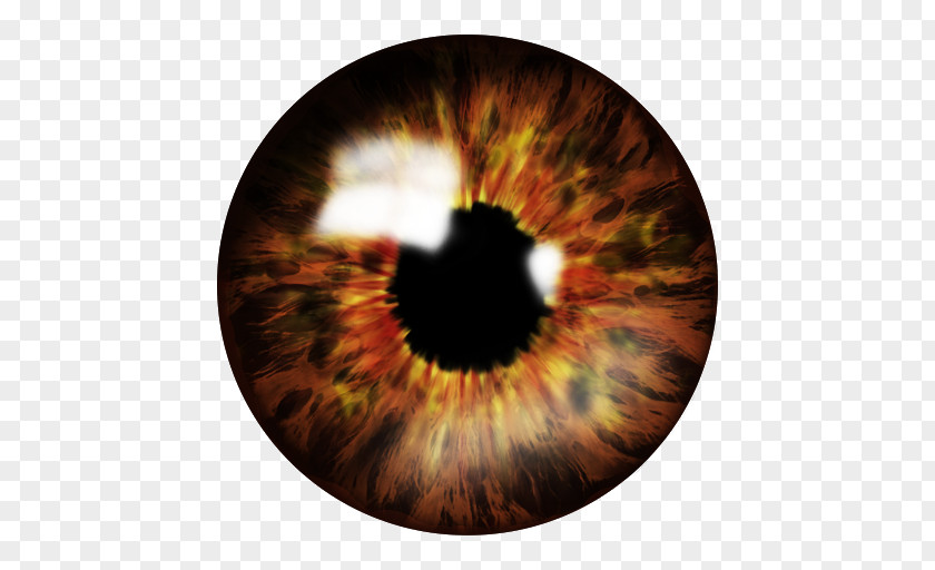 Eye Color Human Iris PNG