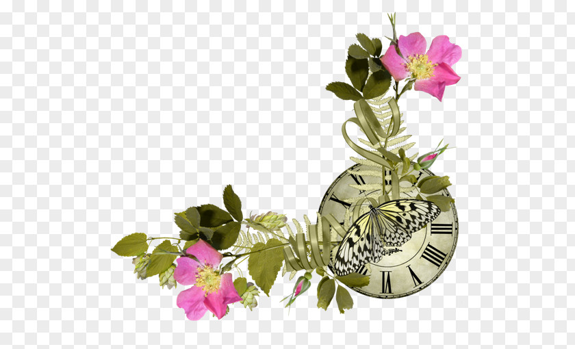 Flower Centerblog Floral Design Clip Art PNG