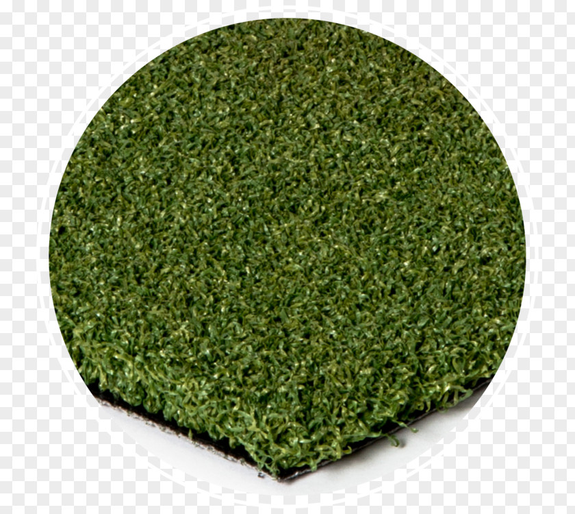 Golf Course Turf Artificial Putter PNG