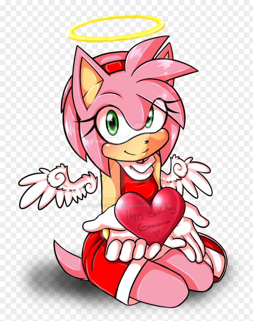 Single Tasking Day Amy Rose Sonic The Hedgehog Riders Metal PNG