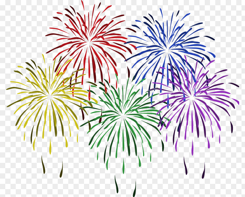 Fireworks New Year's Day Clip Art PNG