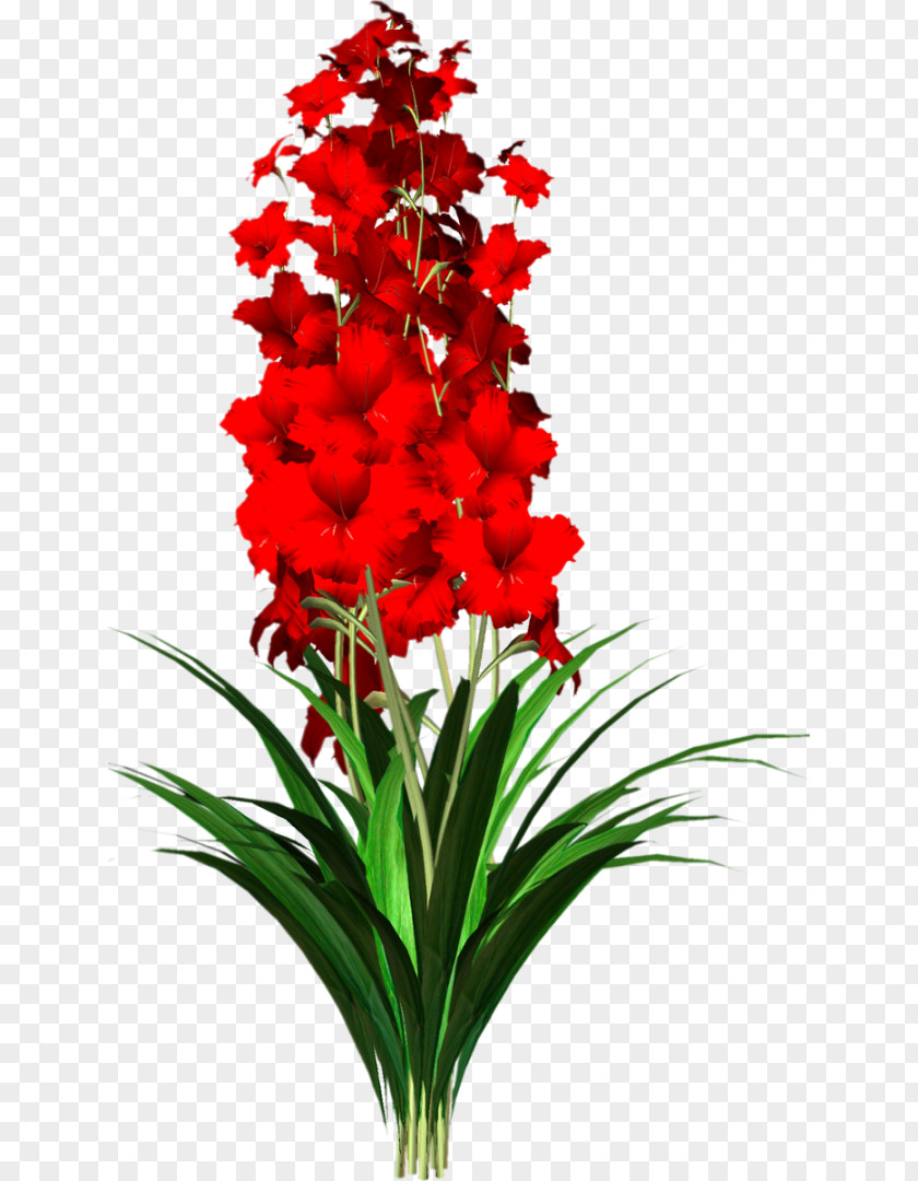 Flower Red Birthday Clip Art PNG