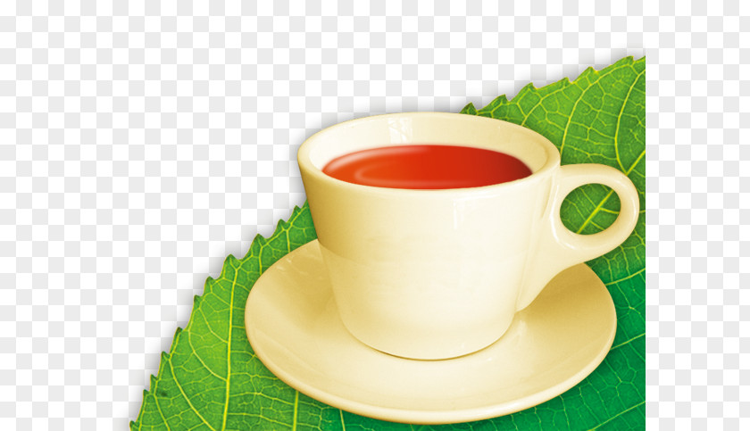 Green Leaf Tea Products In Kind Longjing PNG